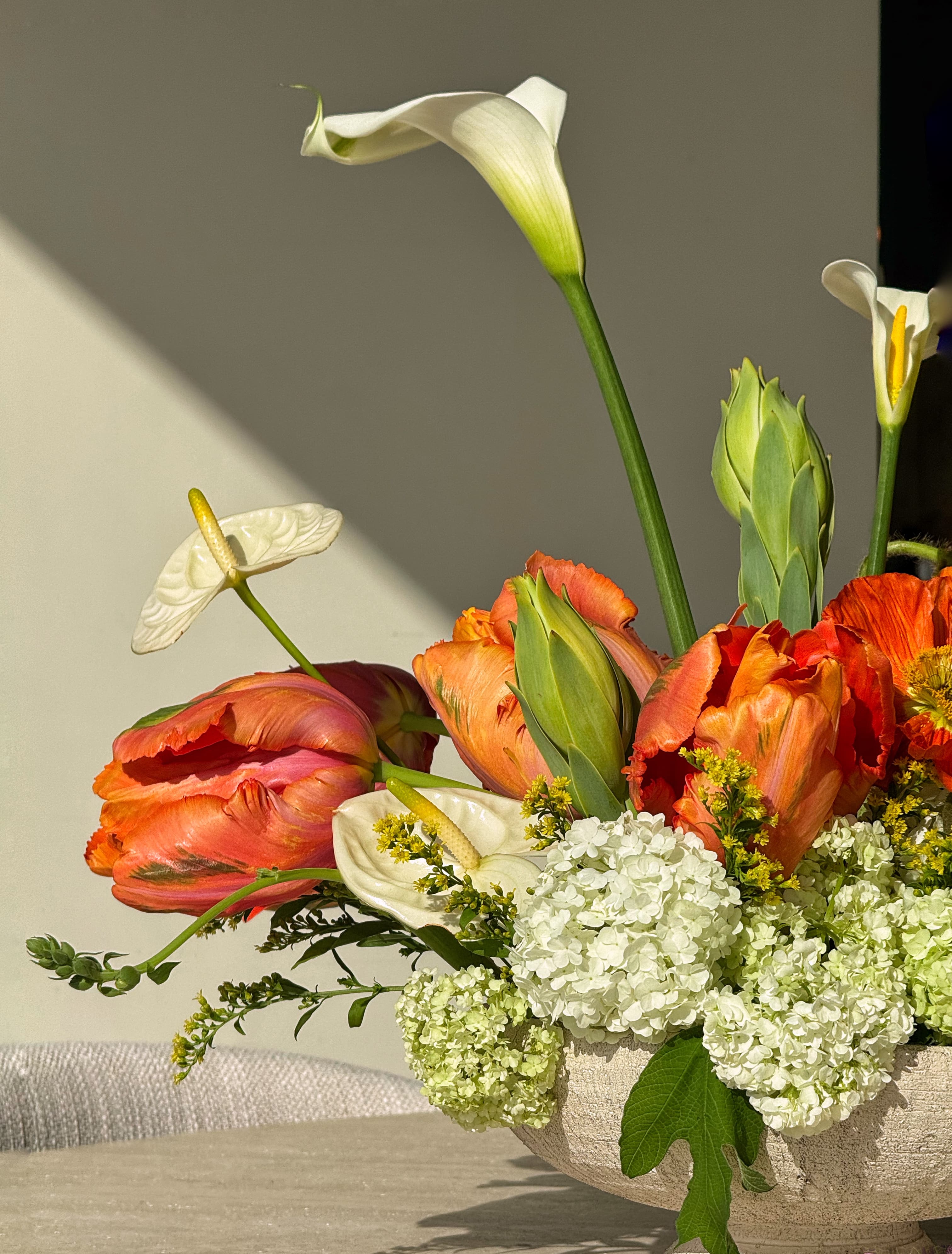 Eternal Image Feature